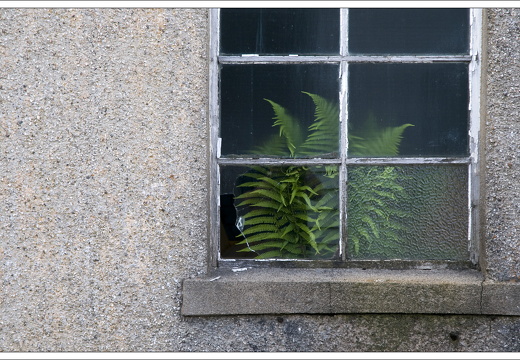 090613-Scotland-254