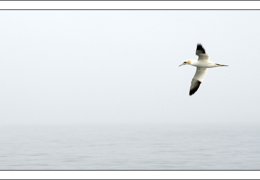 090613-Scotland-308