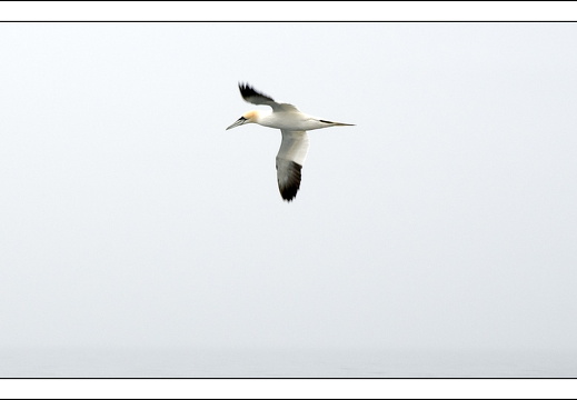 090613-Scotland-309
