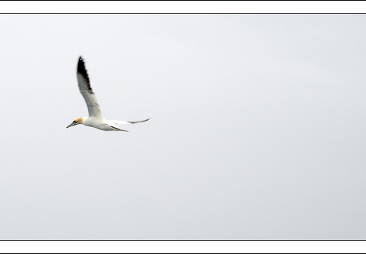 090613-Scotland-310