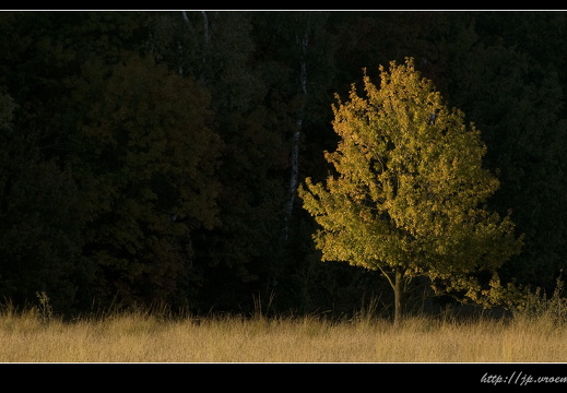 091020-Bos-67
