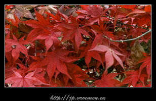091031-Arboretum-51