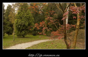 091031-Arboretum-52