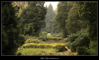091031-Arboretum-62