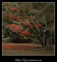 091031-Arboretum-74