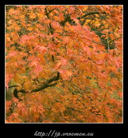 091031-Arboretum-75