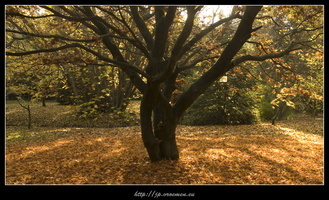 091031-Arboretum-80