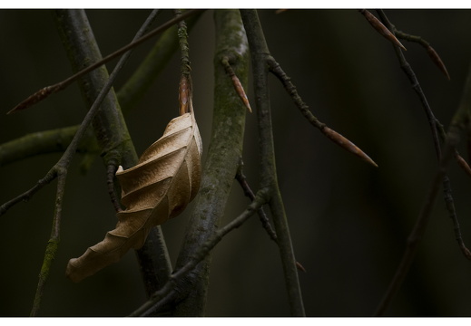 100411-ArboretumDoorn-15