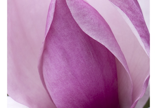 100411-ArboretumDoorn-30