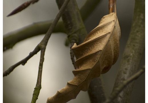 100411-ArboretumDoorn-36