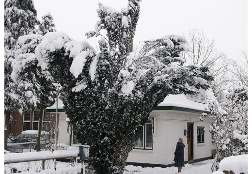 101231-Sneeuw-34