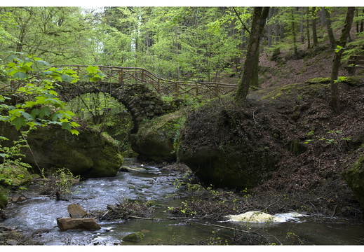 100429-Ardennen-35