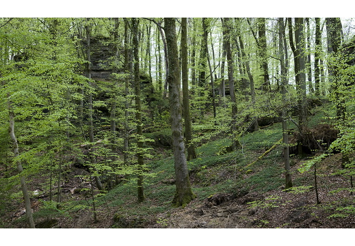 100429-Ardennen-38