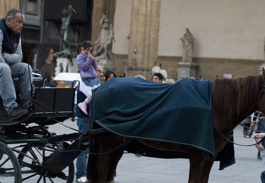 110401-Florance-2300