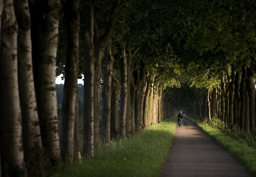 120721-Loenen-D800-05