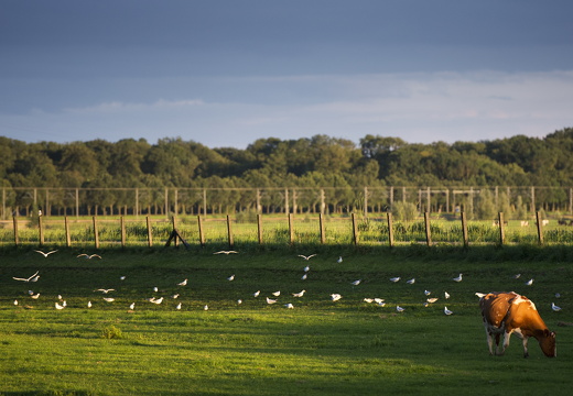 120721-Loenen-D800-21