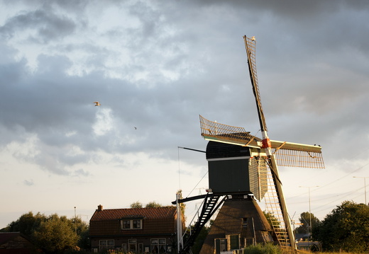 120721-Loenen-D800-22