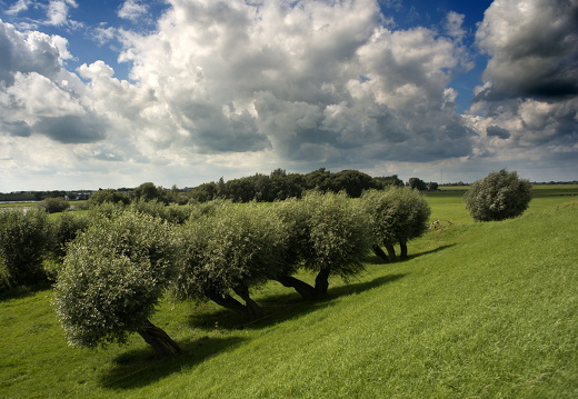 120804-Lekdijk-07