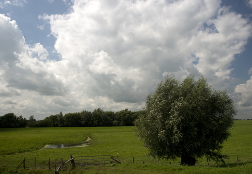 120804-Lekdijk-09