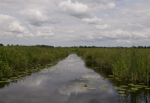 120605-Nieuwkoop-16