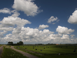 120729-NoordHolland-D300-04