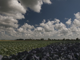 120729-NoordHolland-D300-13