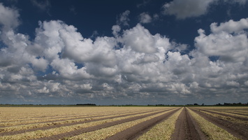 120729-NoordHolland-D300-22