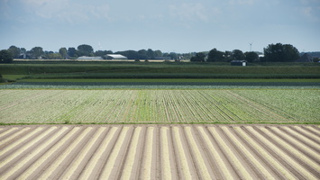 120729-NoordHolland-D800-21