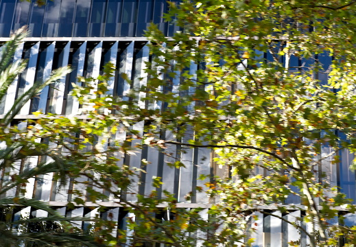 130930-Barcalona--10