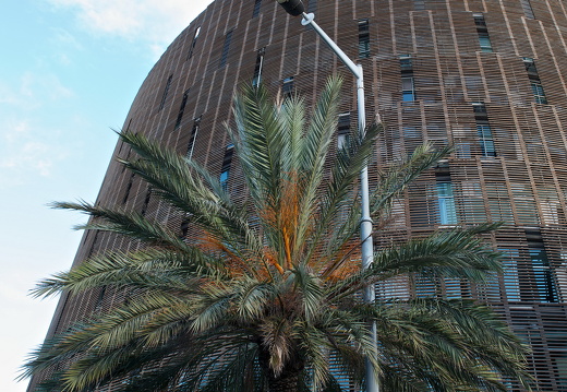 130930-Barcalona--18