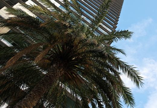 130930-Barcalona--19