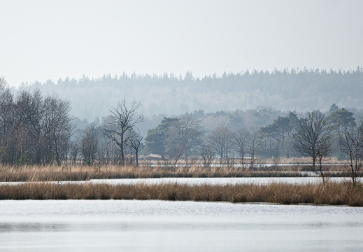 140119-LeersumseVeld-002