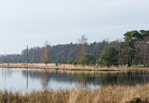 140119-LeersumseVeld-005