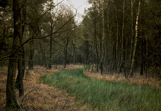 141213-DeUtrecht-106