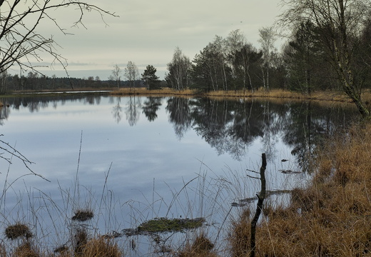 141213-DeUtrecht-107