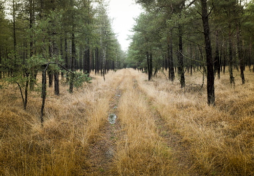 141213-DeUtrecht-108