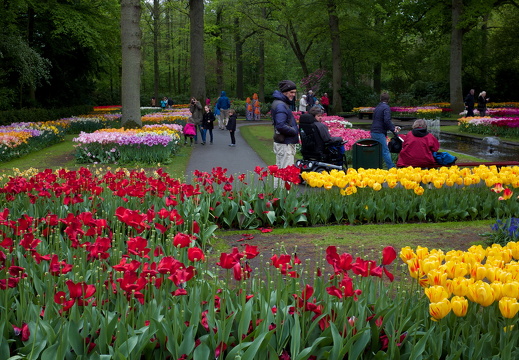 140429-Huwelijksdag-39