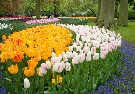 140429-Huwelijksdag-41