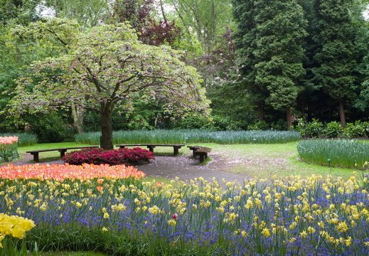 140429-Huwelijksdag-44