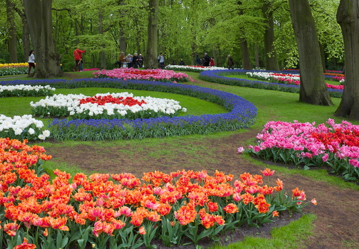 140429-Huwelijksdag-46