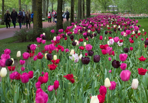 140429-Huwelijksdag-57