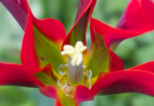 140429-Huwelijksdag-64