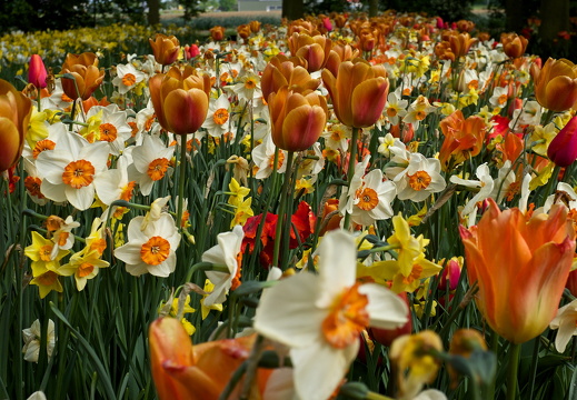 140429-Huwelijksdag-67