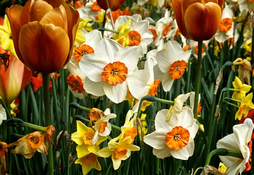 140429-Huwelijksdag-68