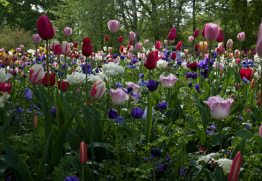 140429-Huwelijksdag-79