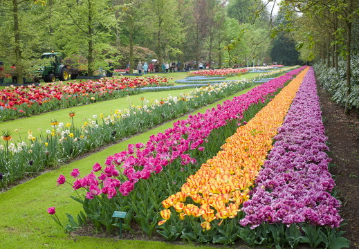 140429-Huwelijksdag-8