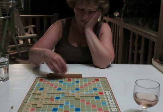 140612-maanlicht-008