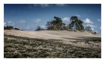 141108-Kootwijk-09