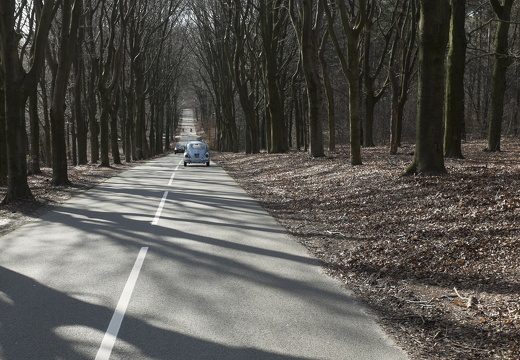 150228-Nederland-102