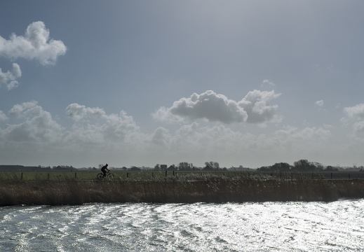 150228-Nederland-111